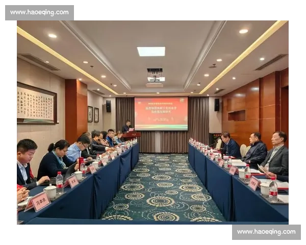 体育管理创新视角下竞技组织运营与绩效优化研究